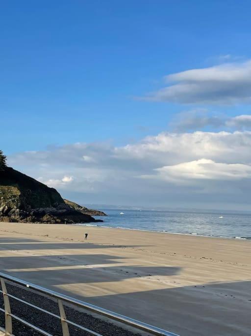 Grande Maison Neuve A 100 M De La Plage بلينوف-فال-أندريه المظهر الخارجي الصورة